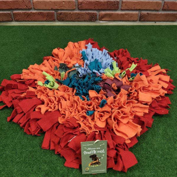 Рошаво килимче (snuffle mat)